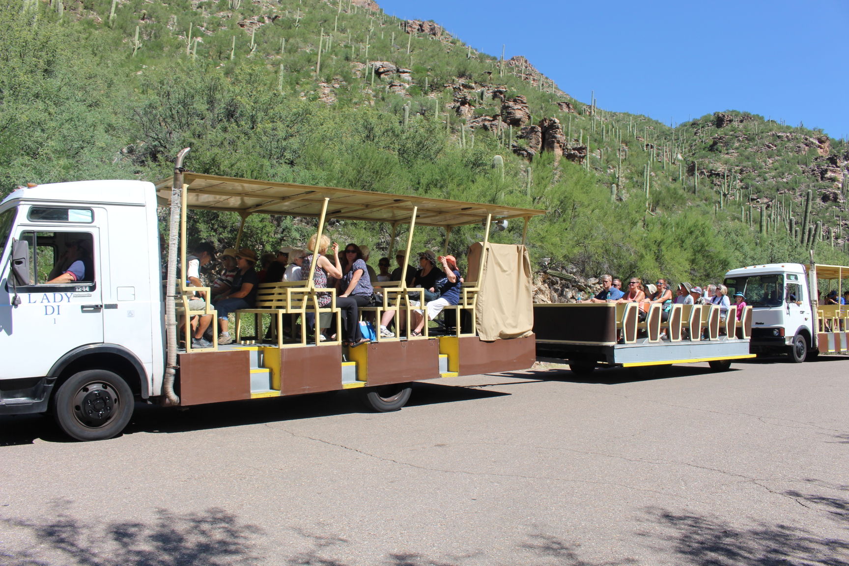 Sabino Canyon tours